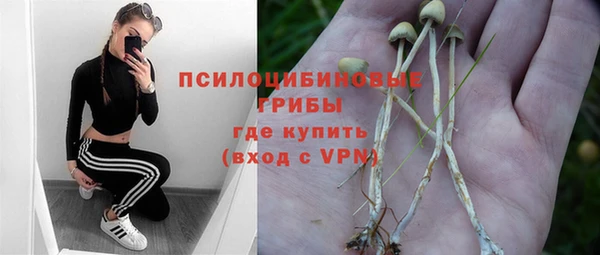 молекула духа Горно-Алтайск