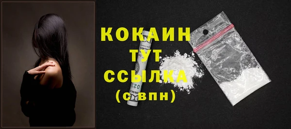 молекула духа Горно-Алтайск