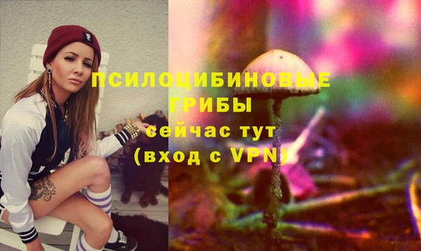 спиды Горнозаводск