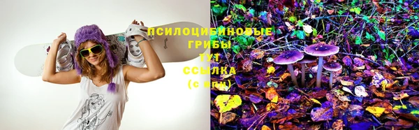 мескалин Горняк