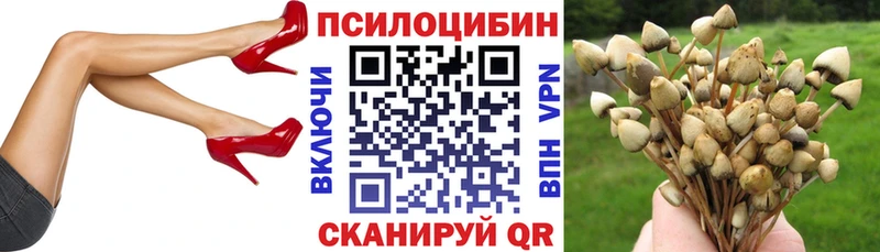 Псилоцибиновые грибы мухоморы Феодосия
